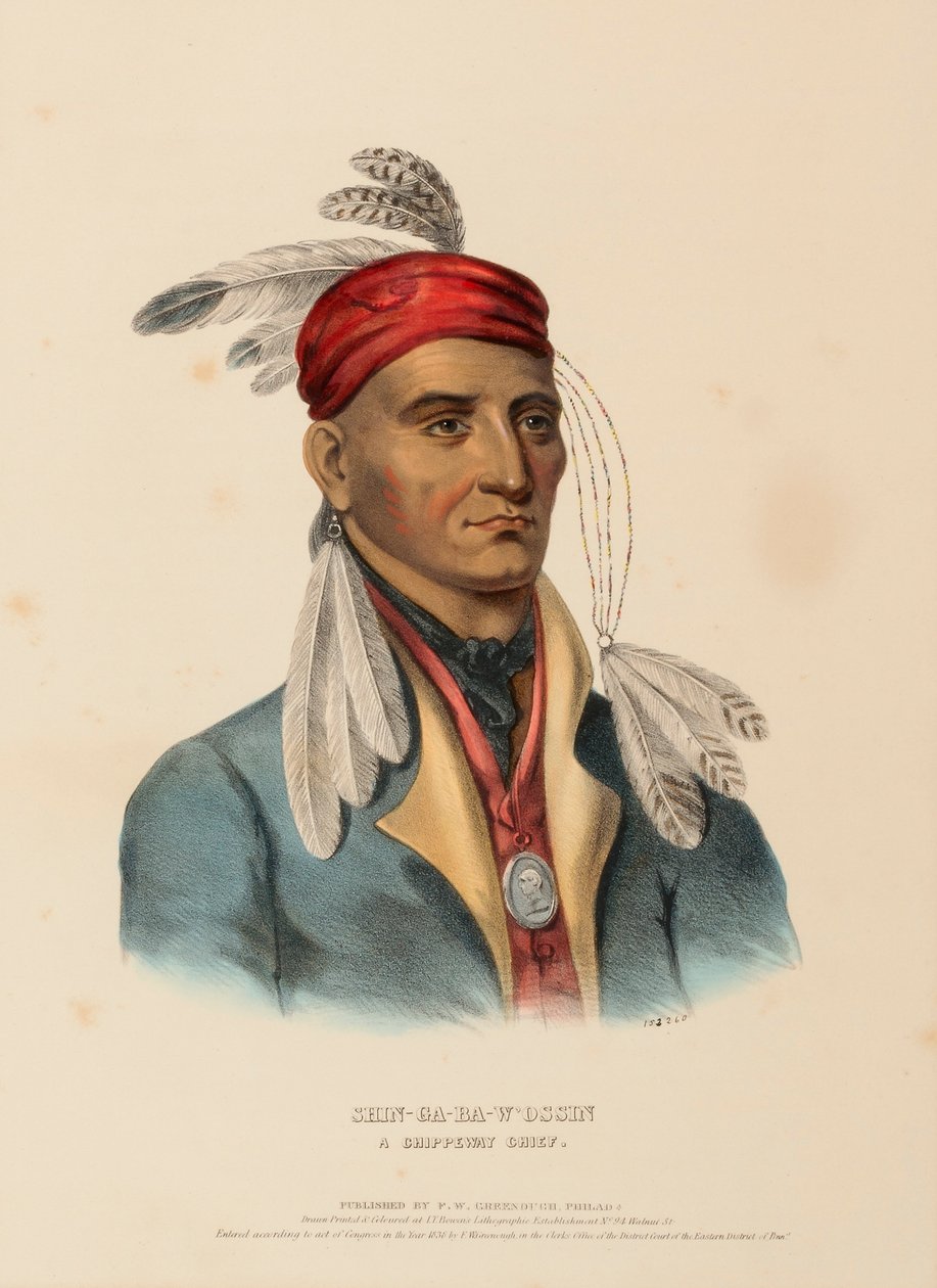  by Charles Bird King