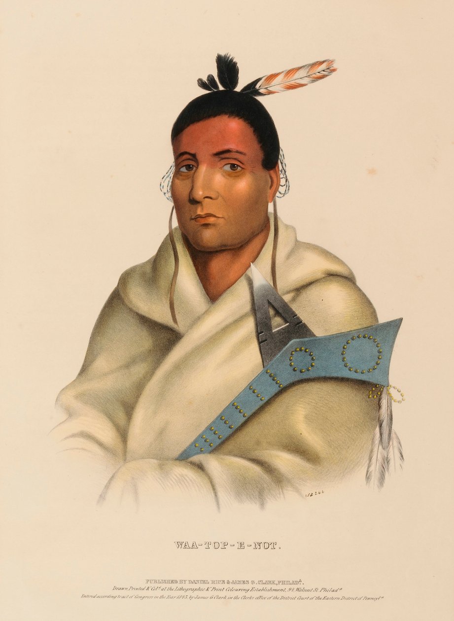  by Charles Bird King