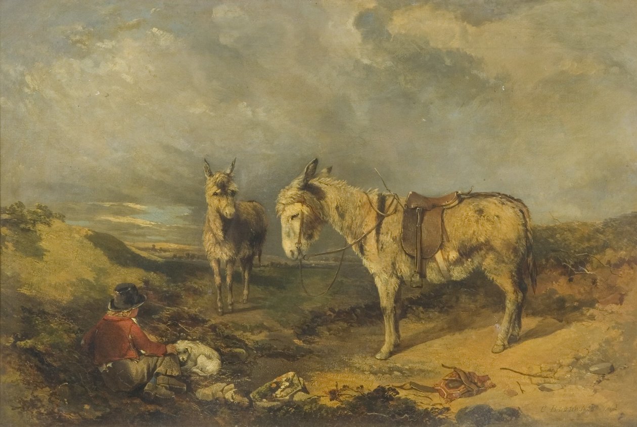 iki eşek by Charles Branwhite