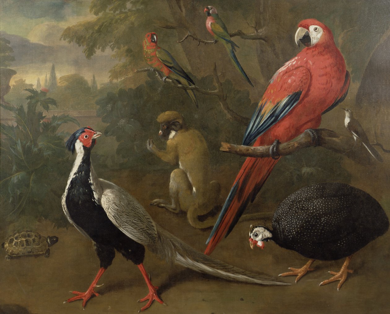Sülün, Amerika Papağanı, Maymun, Papağanlar ve Kaplumbağa by Charles Collins