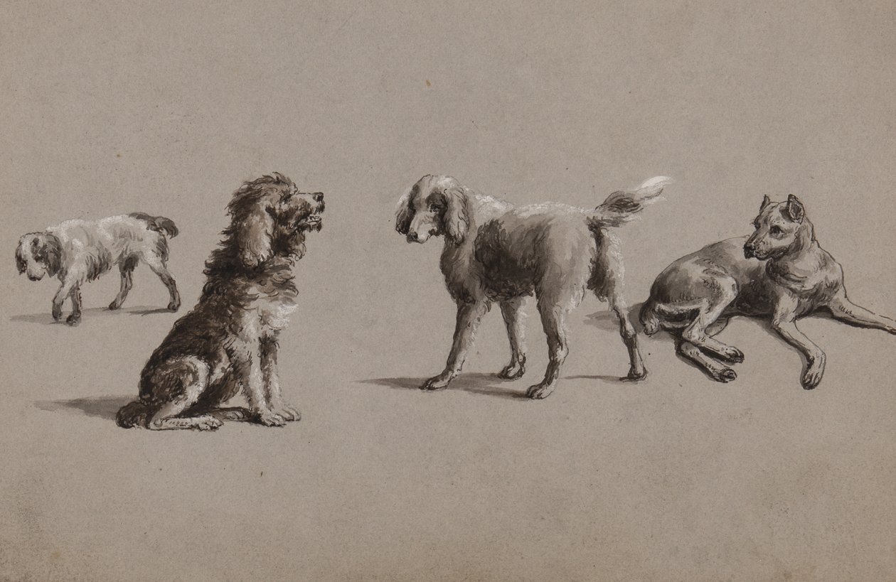 Köpek çalışmaları (kağıt üzerine kalem, fırça, mürekkep ve guaj boya) by Charles Cooper Henderson