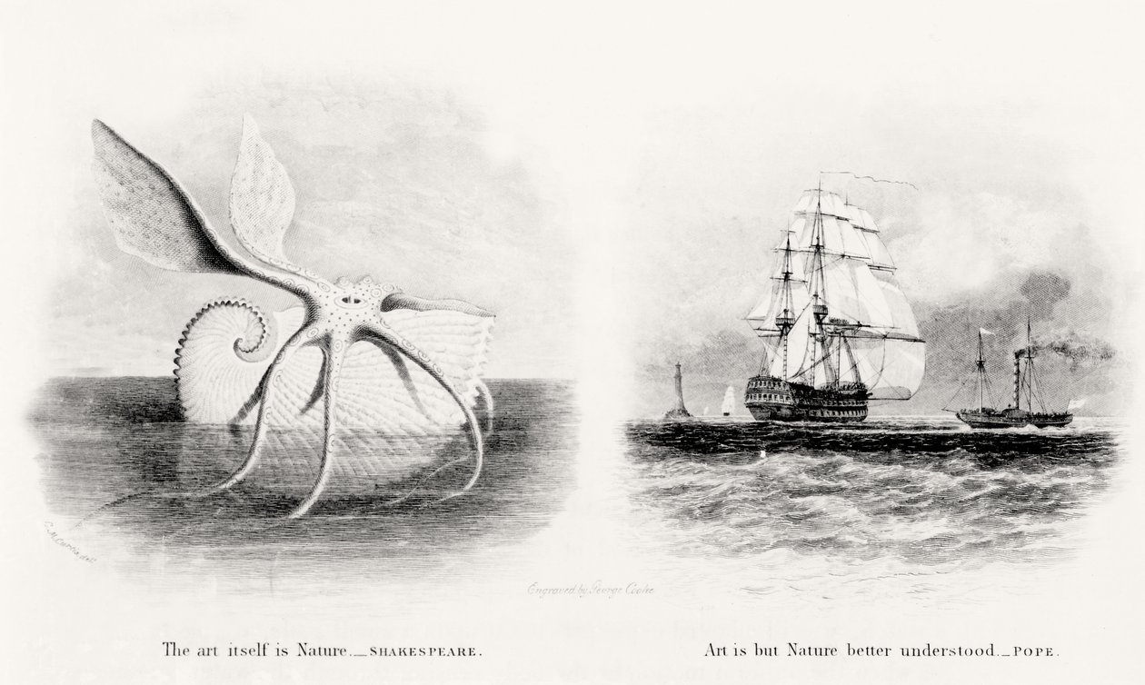 George Cooke (1781-1834) tarafından oyulmuş dev bir kalamar ve denizde iki gemi by Charles Curtis