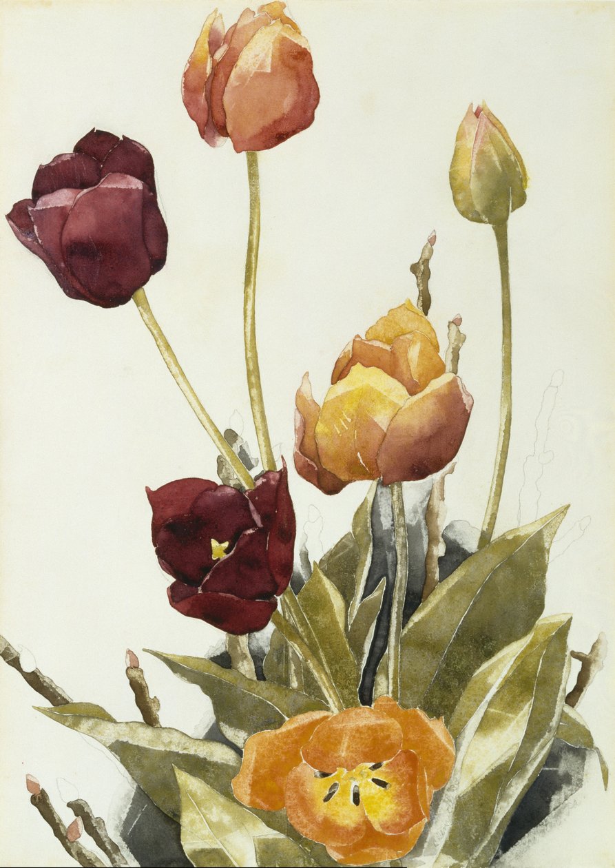 Laleler, 1933 (kağıt üzerine suluboya ve grafit) by Charles Demuth