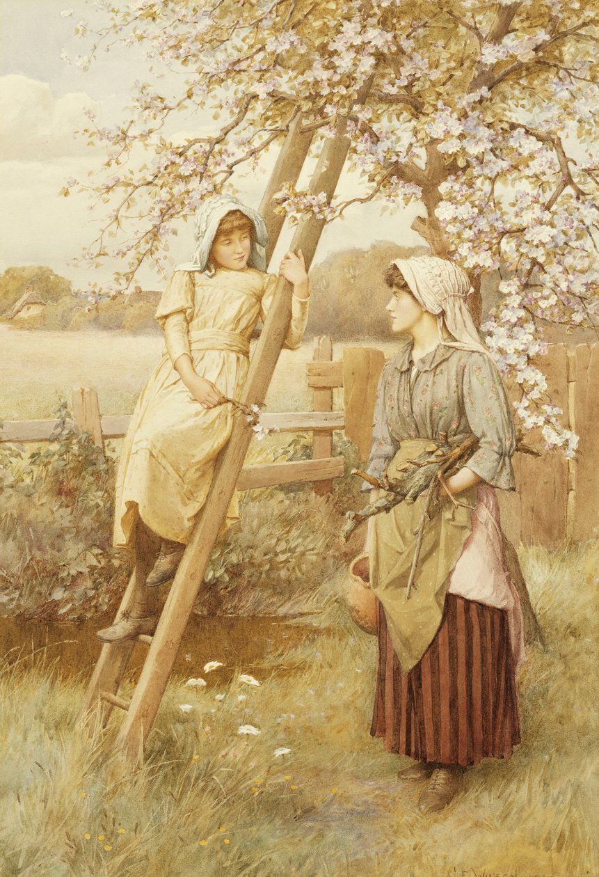 biraz dedikodu by Charles Edward Wilson