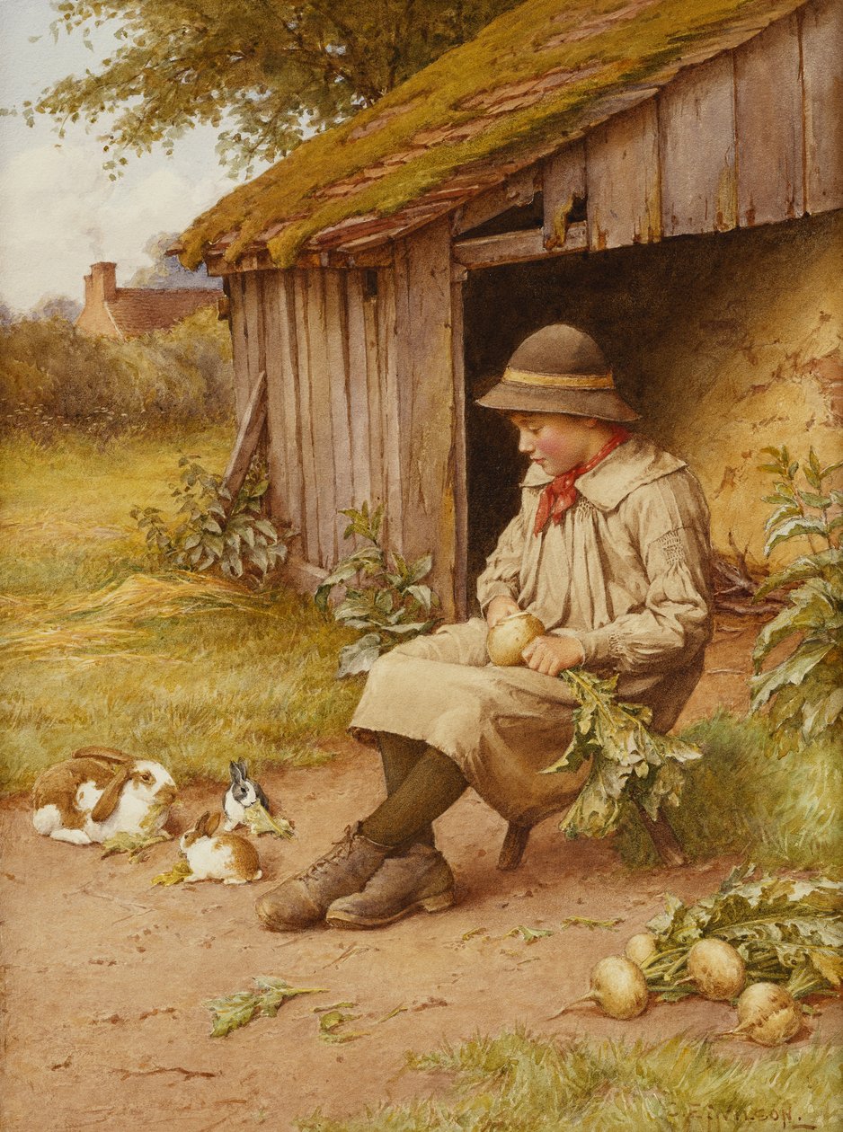 Son Yatırımı by Charles Edward Wilson