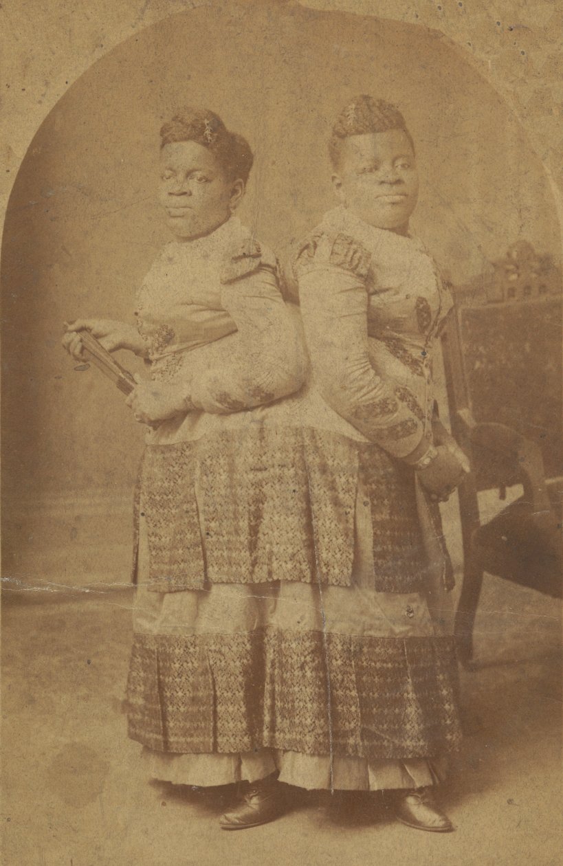Millie ve Christine McCoy
