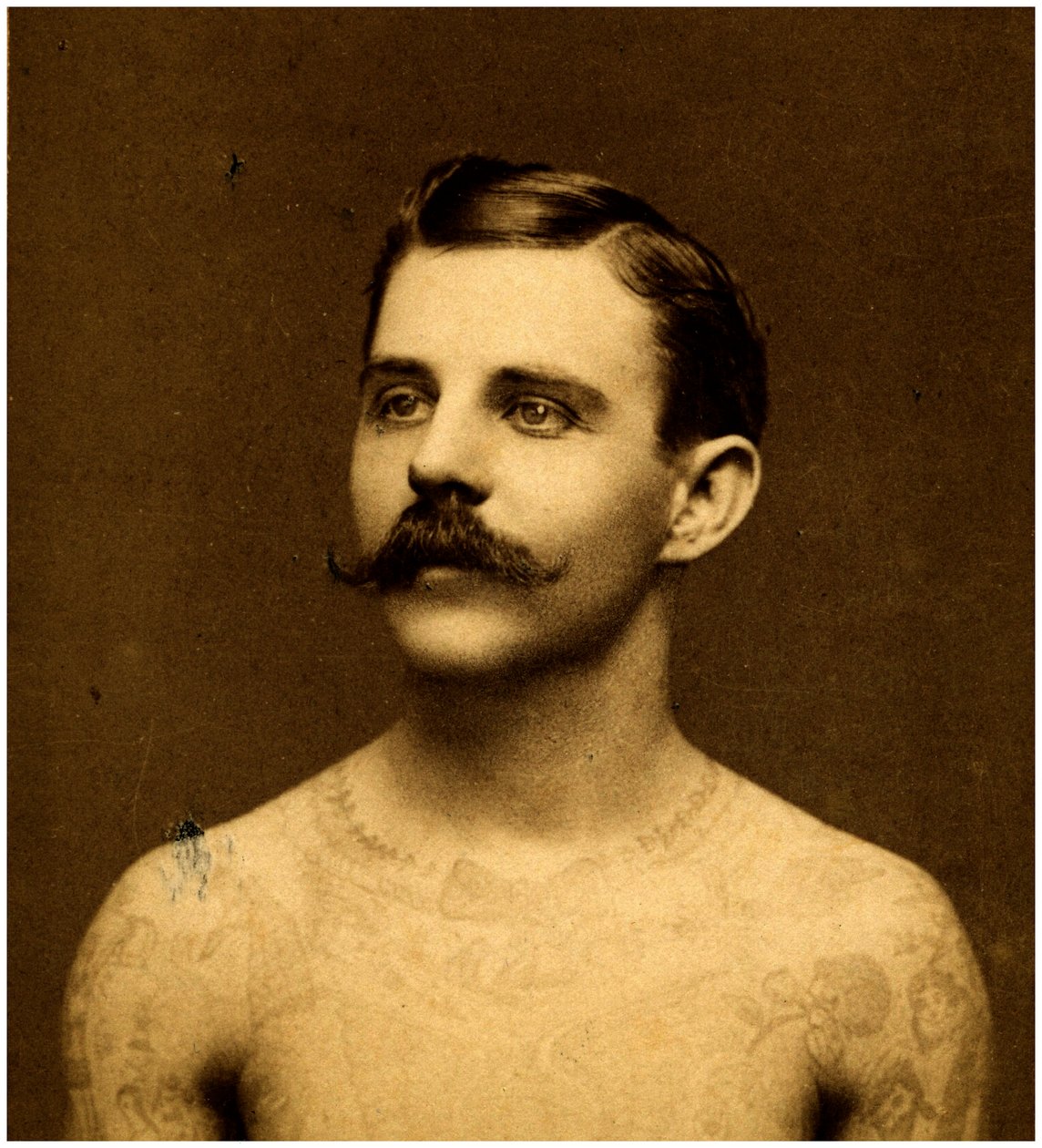 Frank Howard dövmeli adam, c.1900 (kabin kartı) by Charles Eisenmann