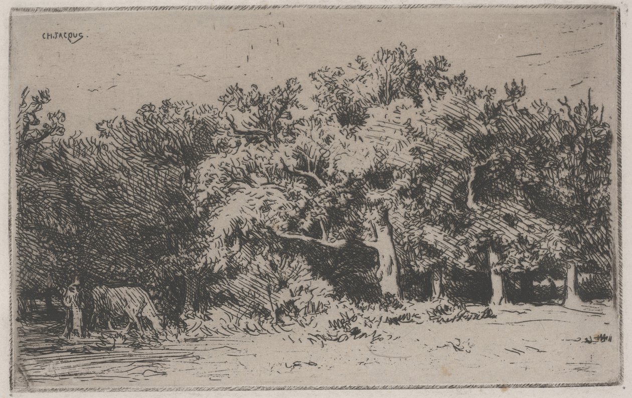 Fontainebleau Ormanı
