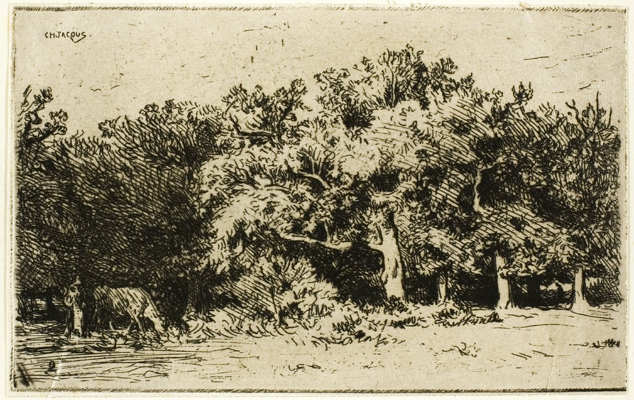 Fontainebleau Ormanı