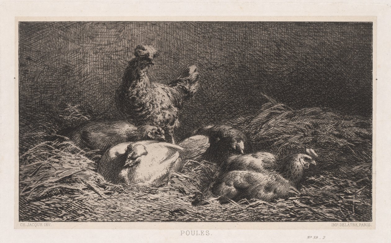 tavuklar by Charles Emile Jacque