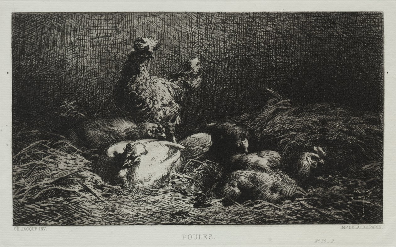 tavuklar by Charles Emile Jacque