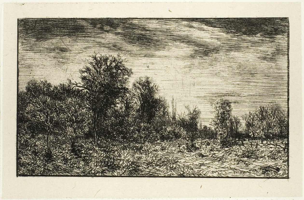 Bir Ormanın Kenarı, Bulutlu Gökyüzünün Altında by Charles Emile Jacque