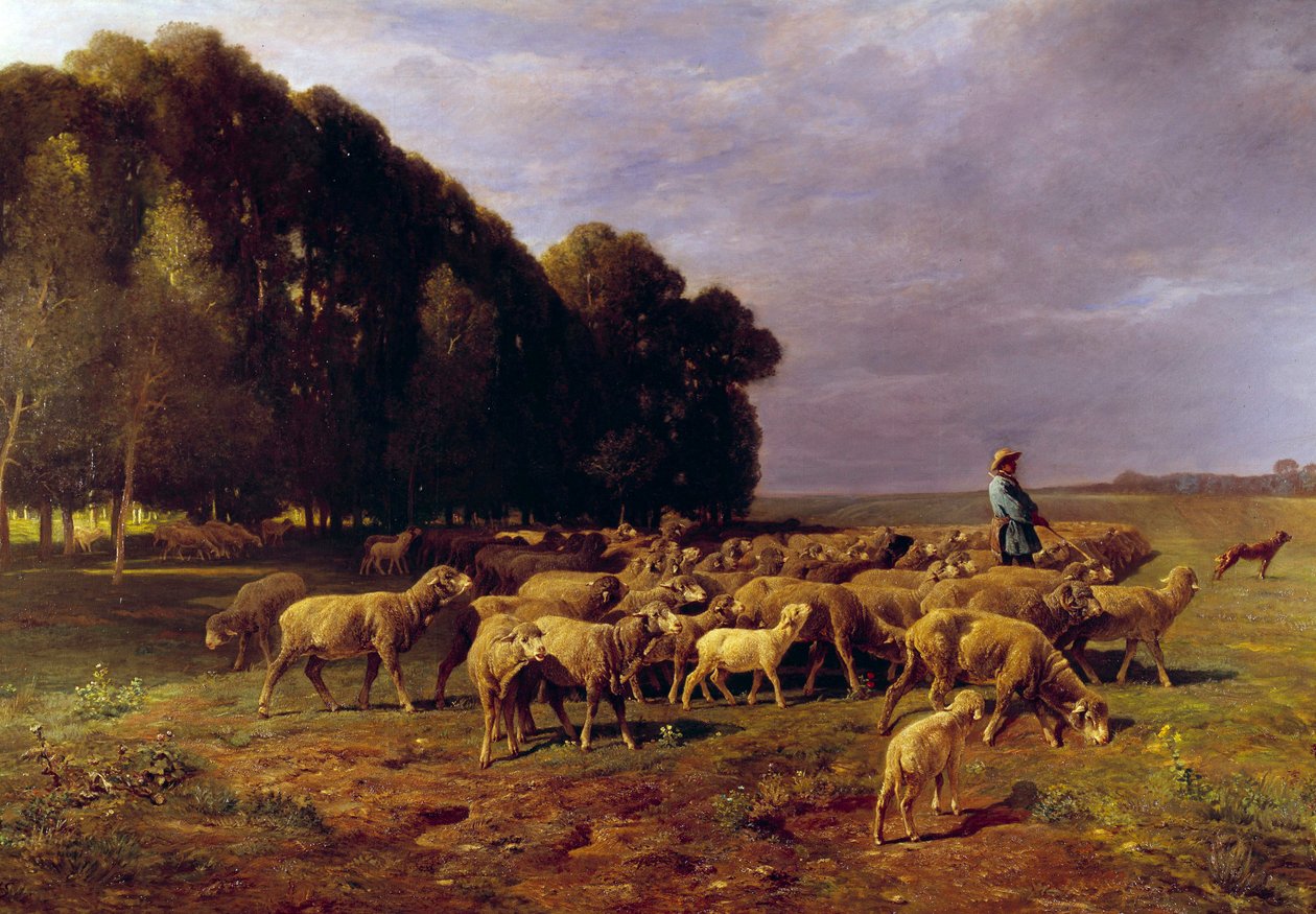 Bir manzarada koyun sürüsü veya “” Ovada koyun sürüsünü süren çoban”” Charles Jacque (1813-1894) 19. yüzyıl Güneşi. 1,76x2,8 m by Charles Emile Jacque