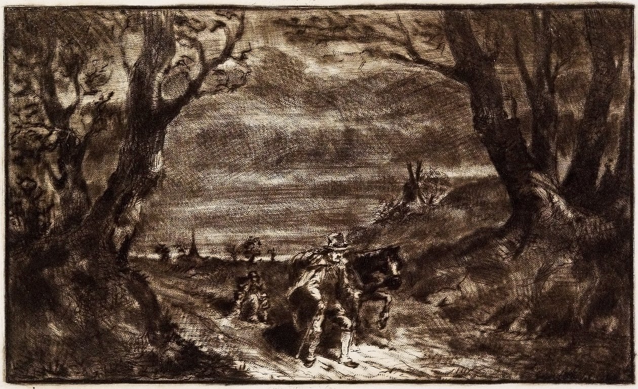 Adam Lider At, 19. yüzyıl (gravür, kuru nokta ve rulet) by Charles Emile Jacque