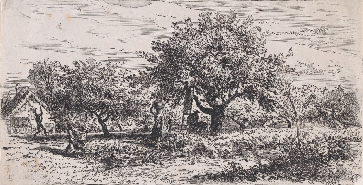 Kulübenin dışındaki ağaçtan meyve toplamak, ca. 1852. by Charles Emile Jacque