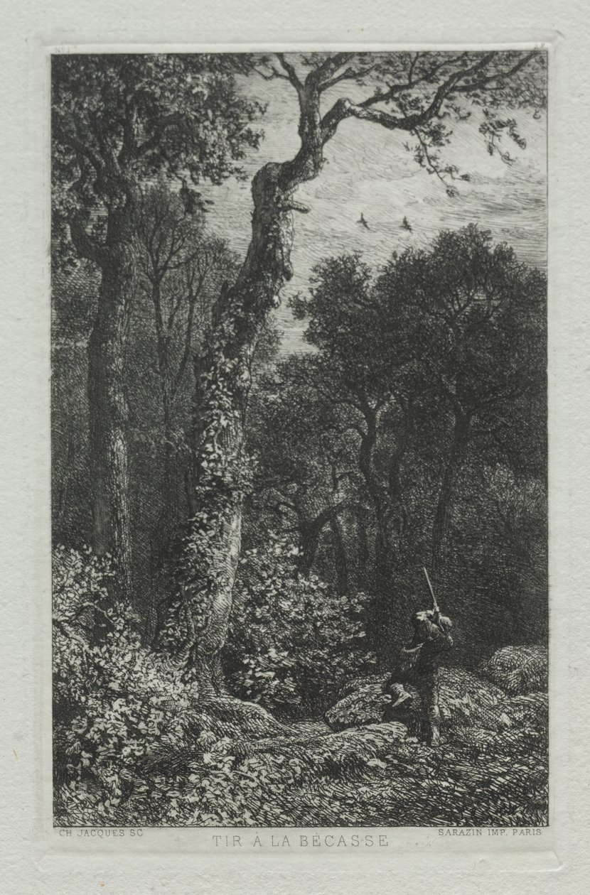 Woodcock