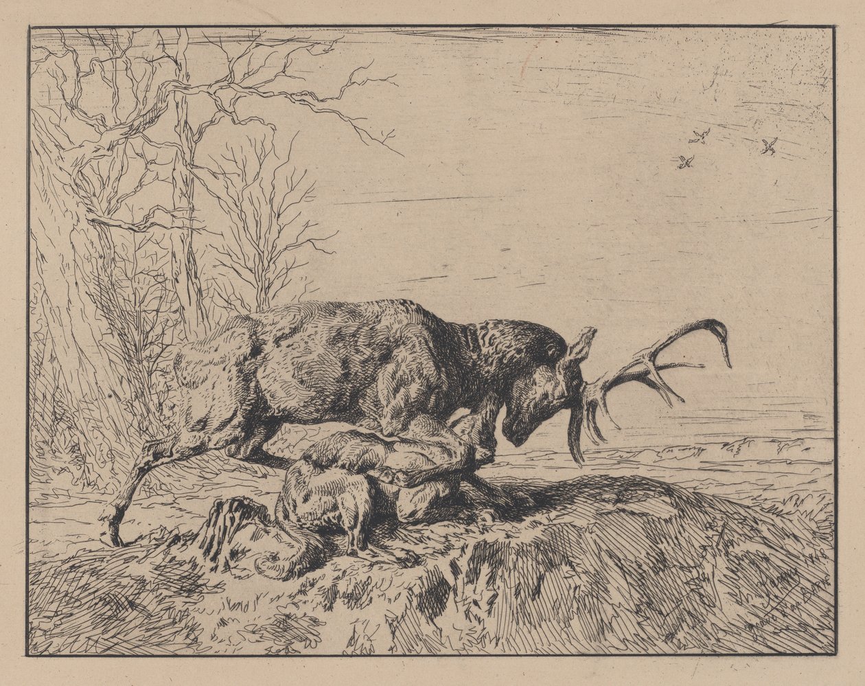 Bir Kurtla Dövüşen Geyik, Antoine Louis Barye