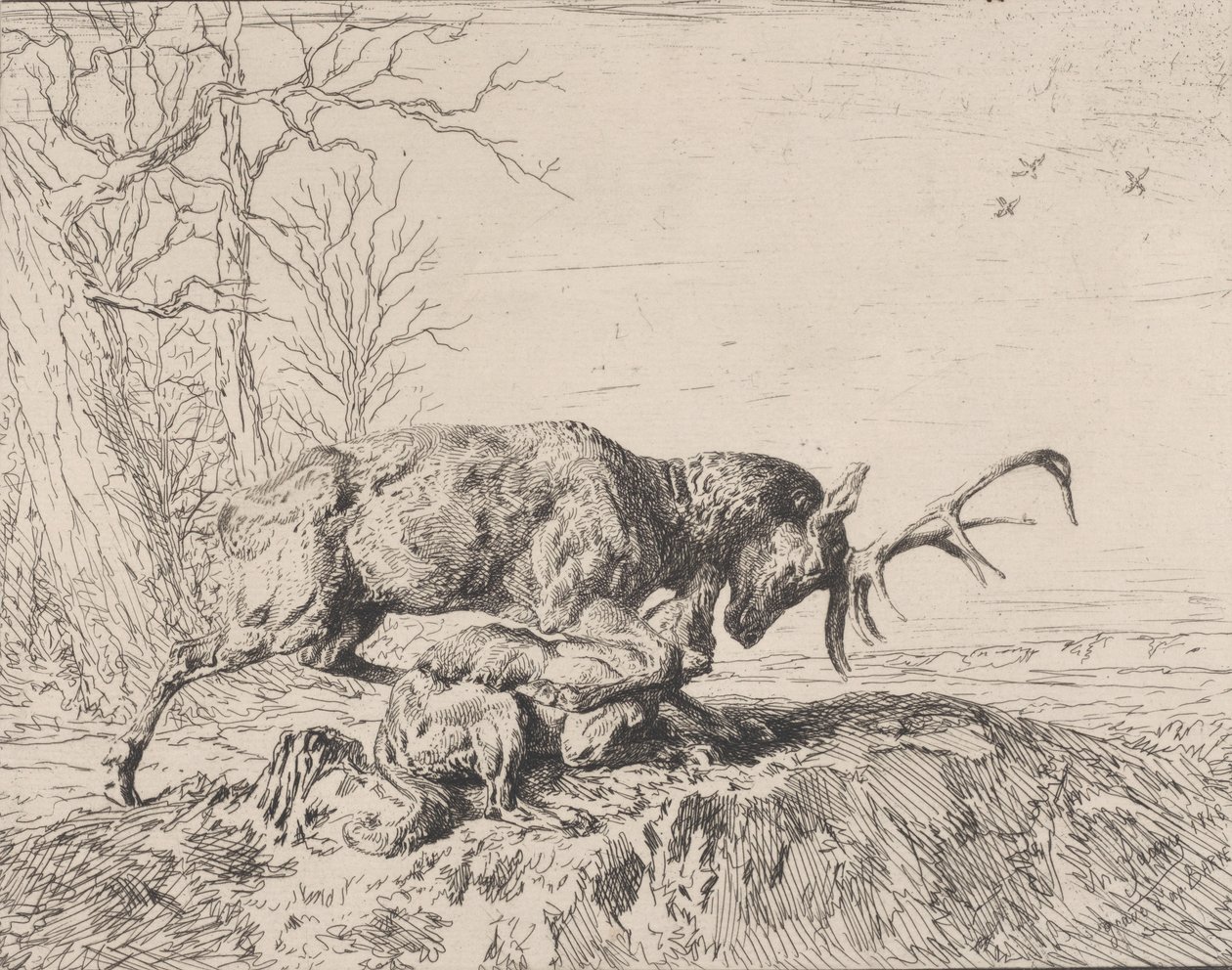 Bir Kurtla Dövüşen Geyik, Antoine Louis Barye