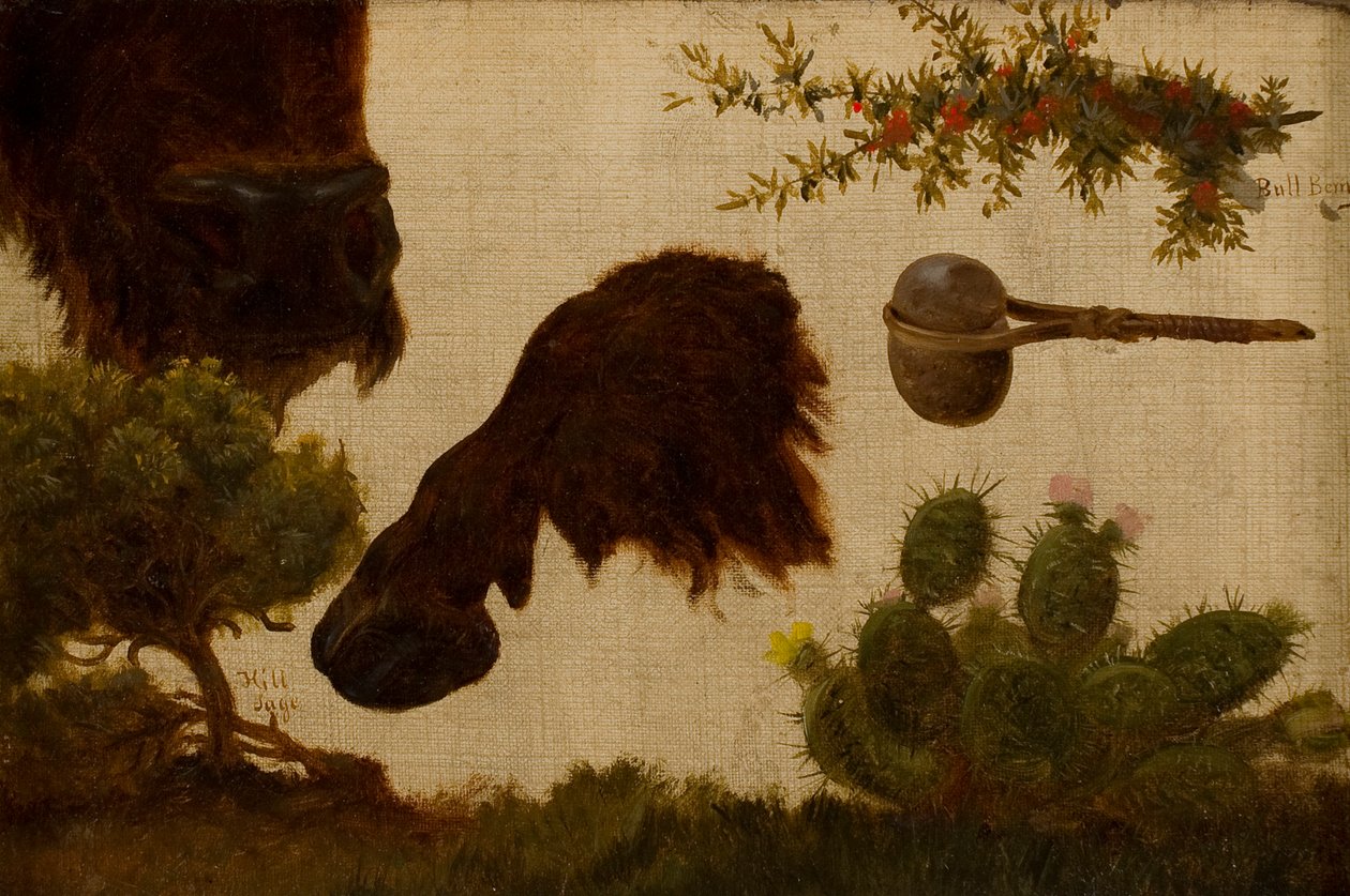 “Yaralı Bufalo” için çalışma: adaçayı, bufalo başı ve toynak, boğa meyvesi, taş balta ve kaktüs… by Charles Ferdinand Wimar