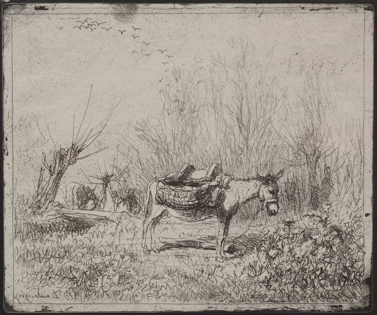 Tarlada Bir Eşek by Charles Francois Daubigny