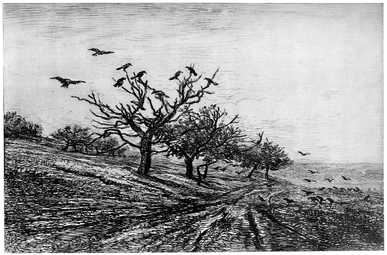 Kuzgun Ağacı, 1840-1875, 1924 by Charles Francois Daubigny