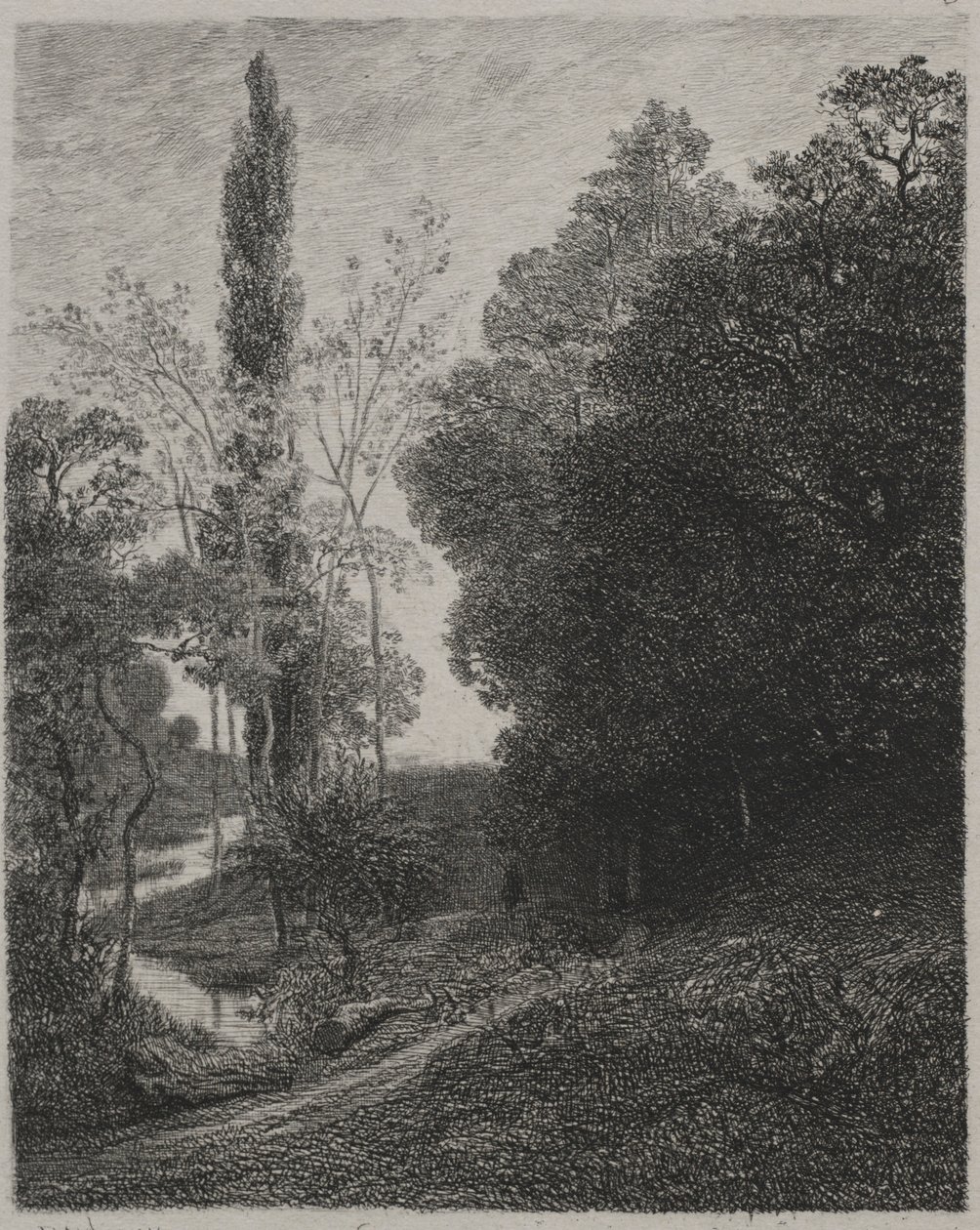 Kuzen Nehri Kıyıları, 1850. by Charles Francois Daubigny