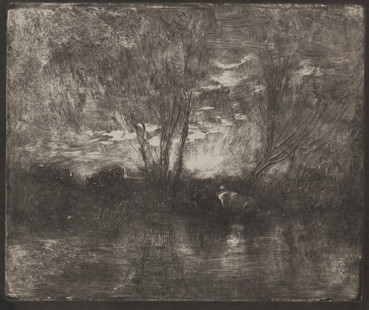Sulama Yerinde İnekler by Charles Francois Daubigny