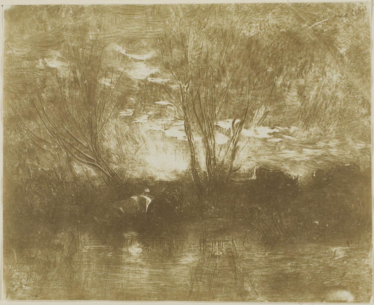 Sulama Yerindeki İnekler by Charles Francois Daubigny