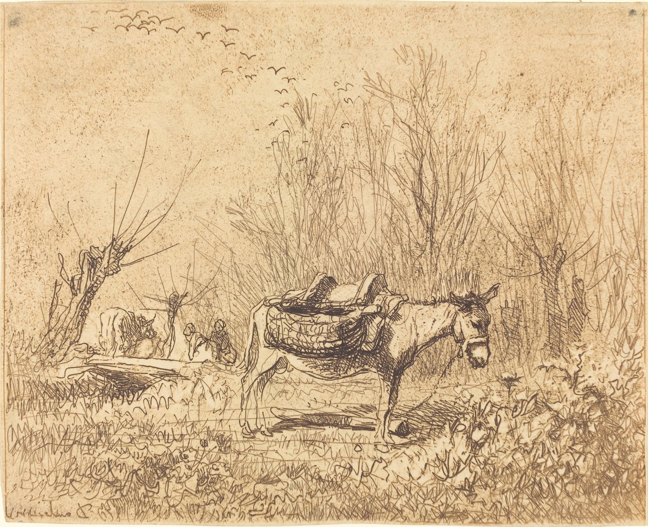 Tarladaki Eşek (L'Ane au pre) by Charles Francois Daubigny