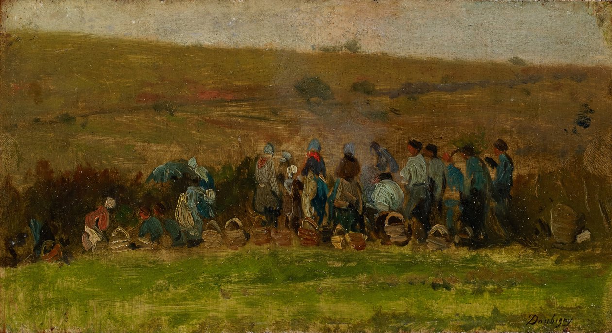 Patates Hasat Eden Çiftçiler (meşe üzerine yağ) by Charles Francois Daubigny