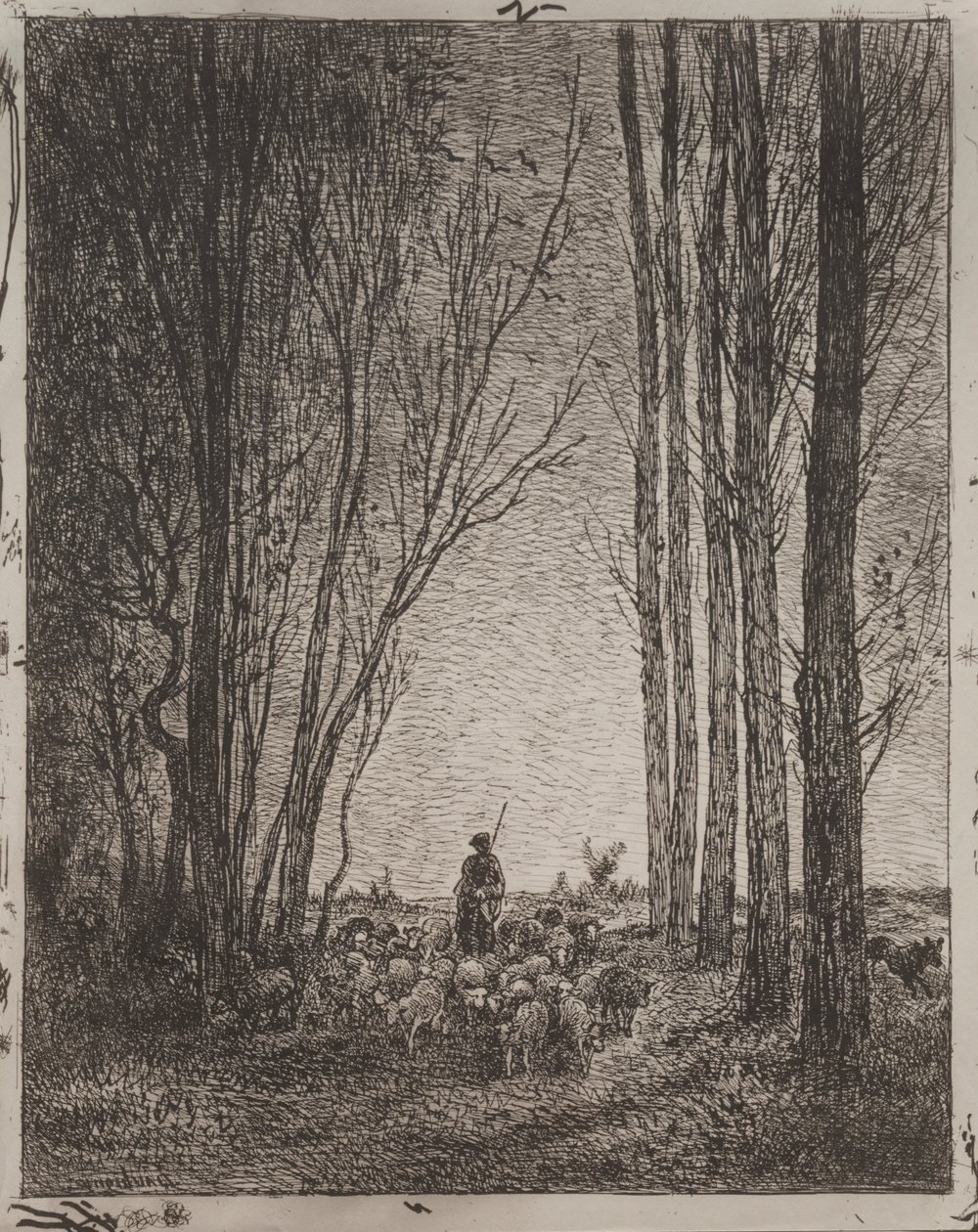 Sürüde Toplanma by Charles Francois Daubigny