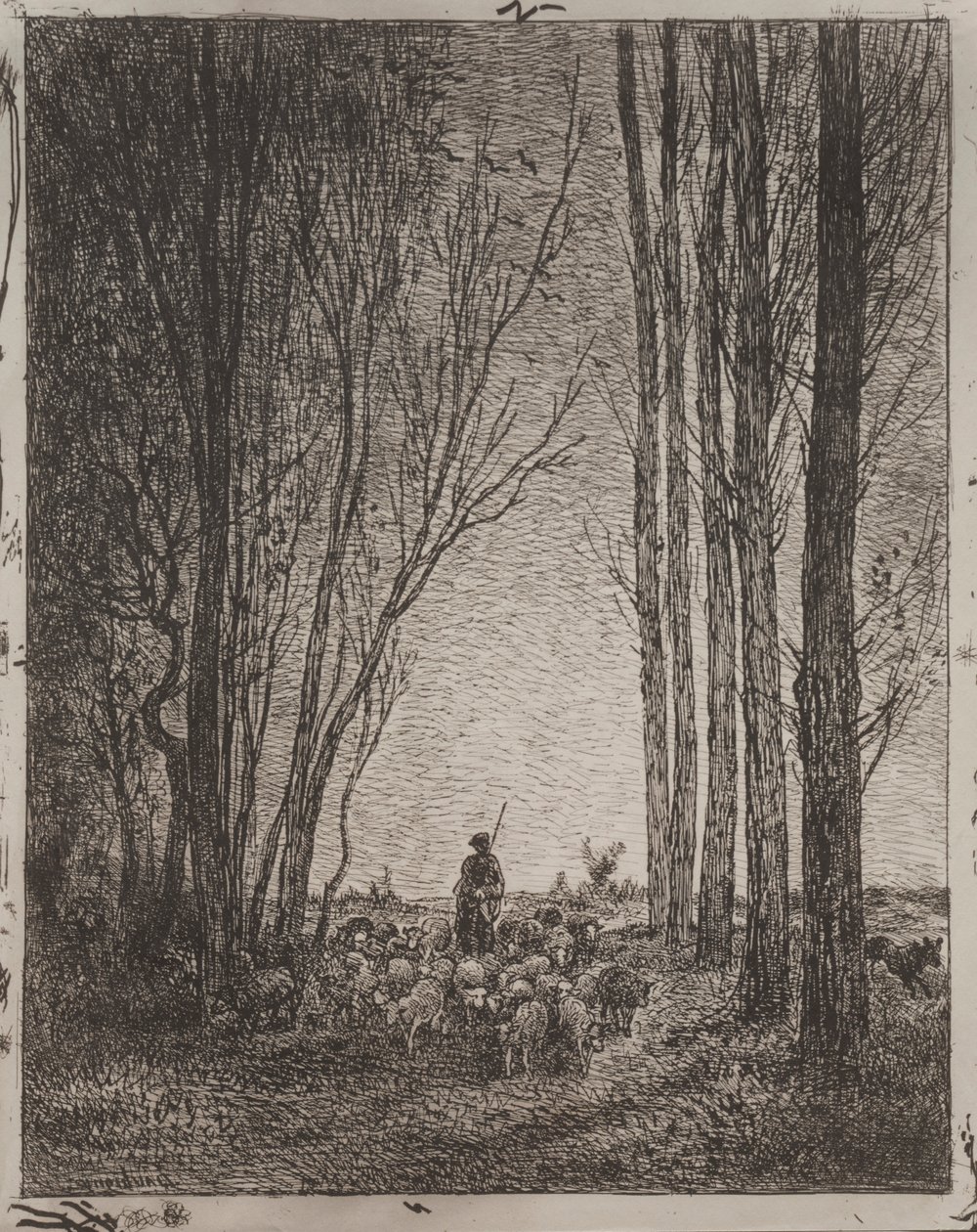 Sürüde Buluşma, orijinal izlenim 1862, 1921