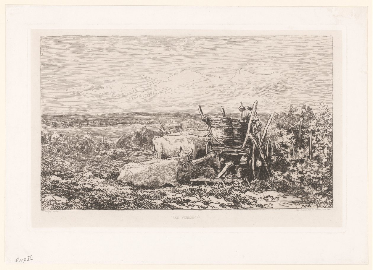 Üzümler arasında dinlenme sığırları ile manzara Vendanges. (nesne üzerindeki başlık) by Charles Francois Daubigny