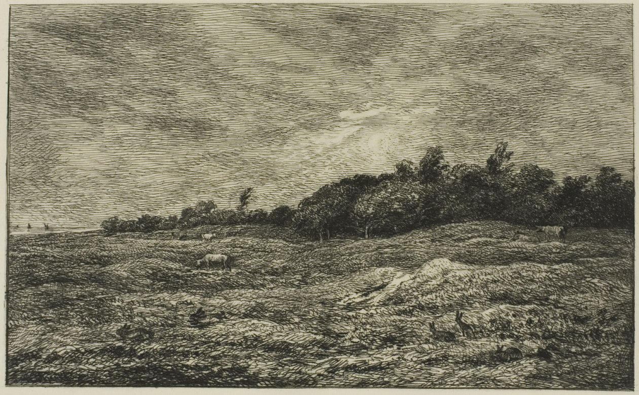 Villerville'deki Pre des Graves (Calvados) by Charles Francois Daubigny