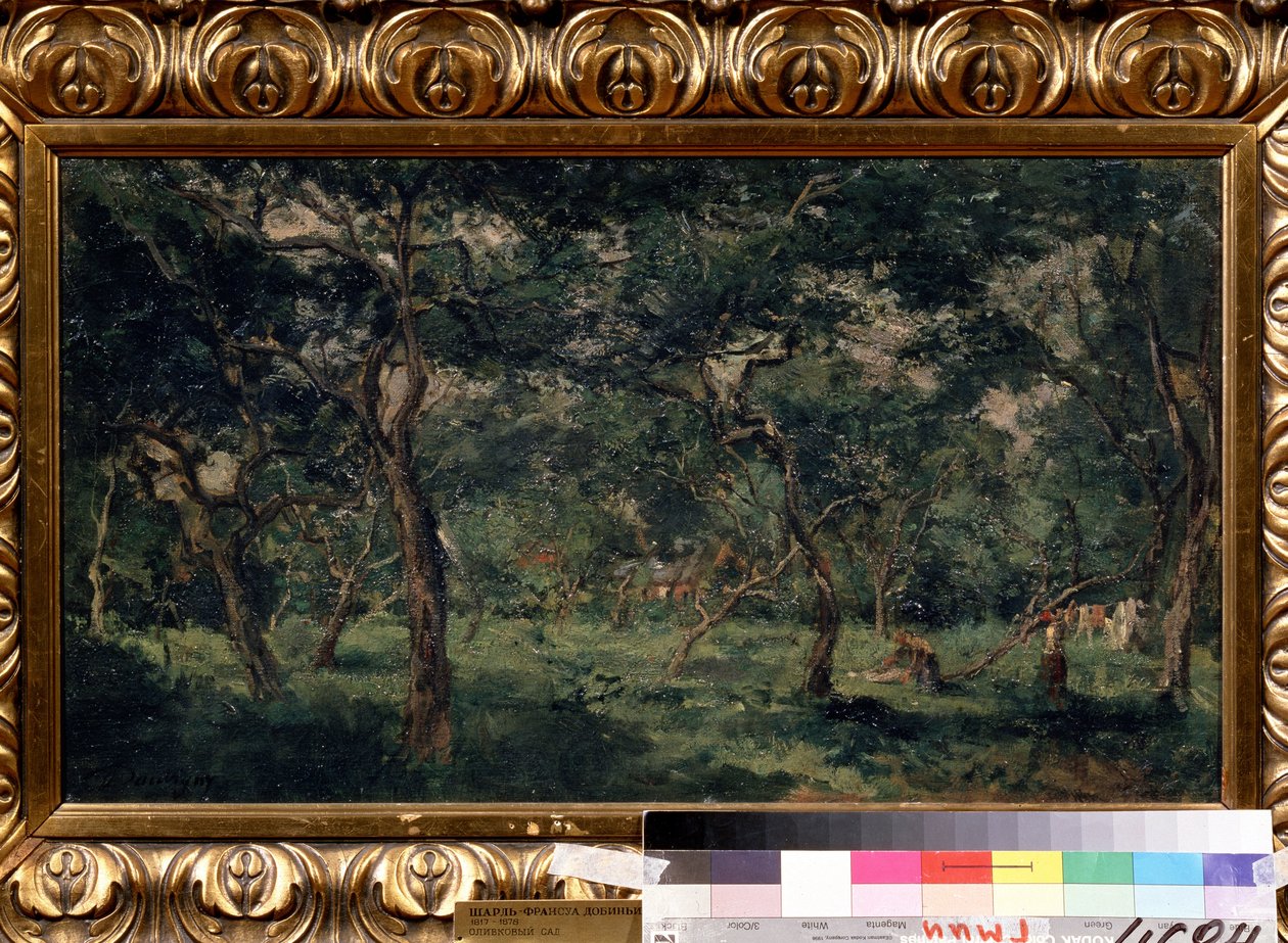 "Zeytinlik" (Zeytin Bahçesi) Tablosu Charles Francois Daubigny (1817-1878) 1870-1873 Puşkin Müzesi, Moskova by Charles Francois Daubigny