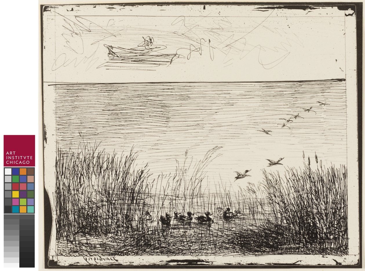 Ördeklerle Bataklık, 1862 by Charles Francois Daubigny
