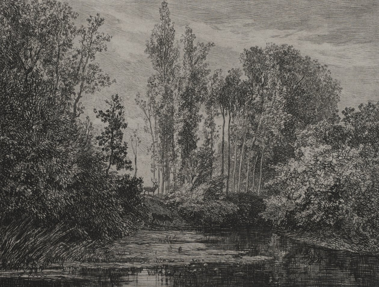 Su kenarındaki geyikler by Charles Francois Daubigny