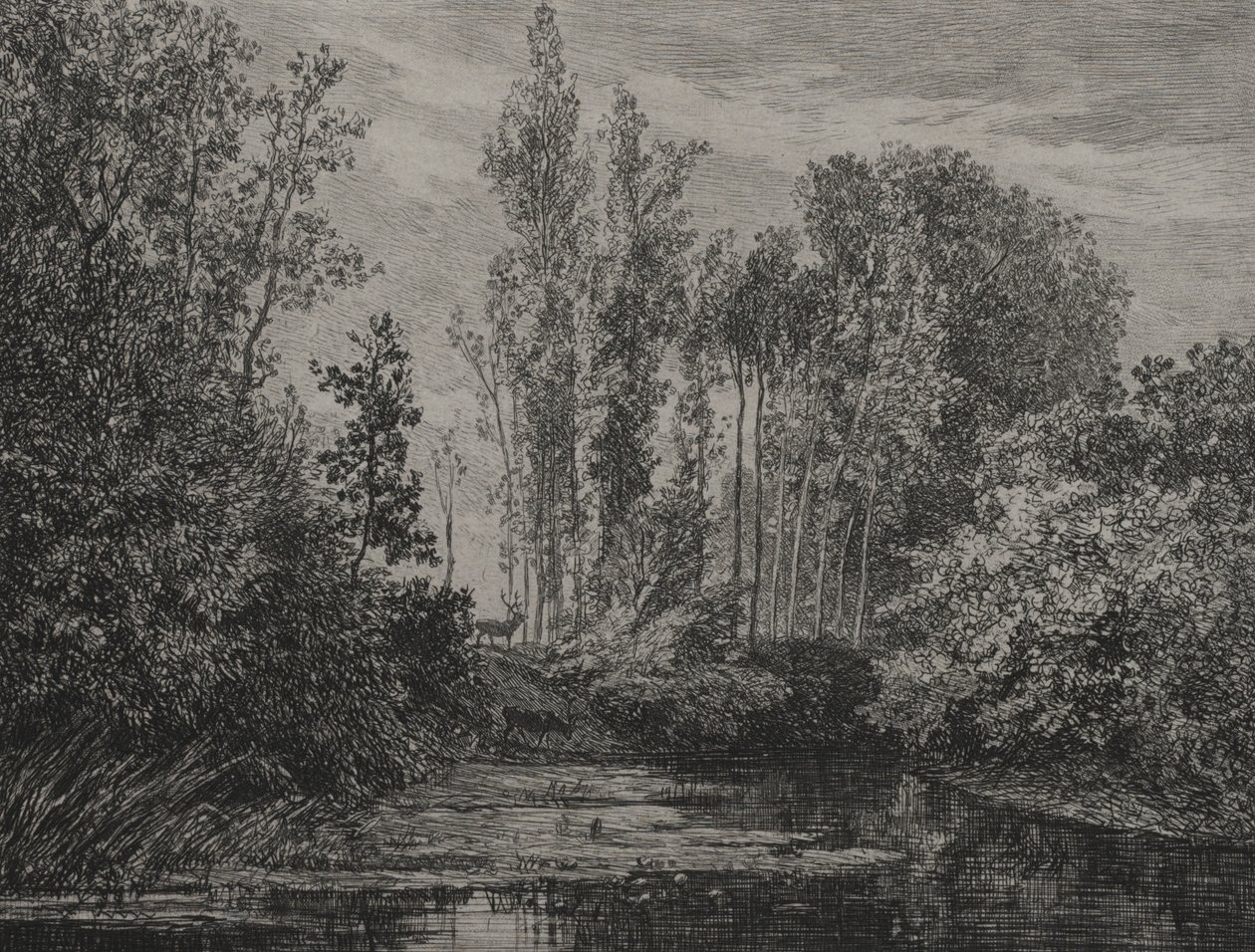 Su kenarındaki geyikler, 1850. by Charles Francois Daubigny