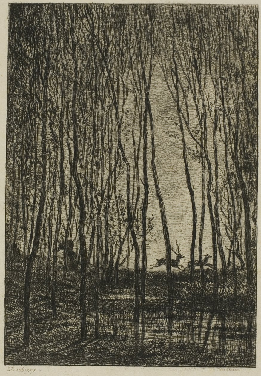 Ormandaki Geyikler by Charles Francois Daubigny