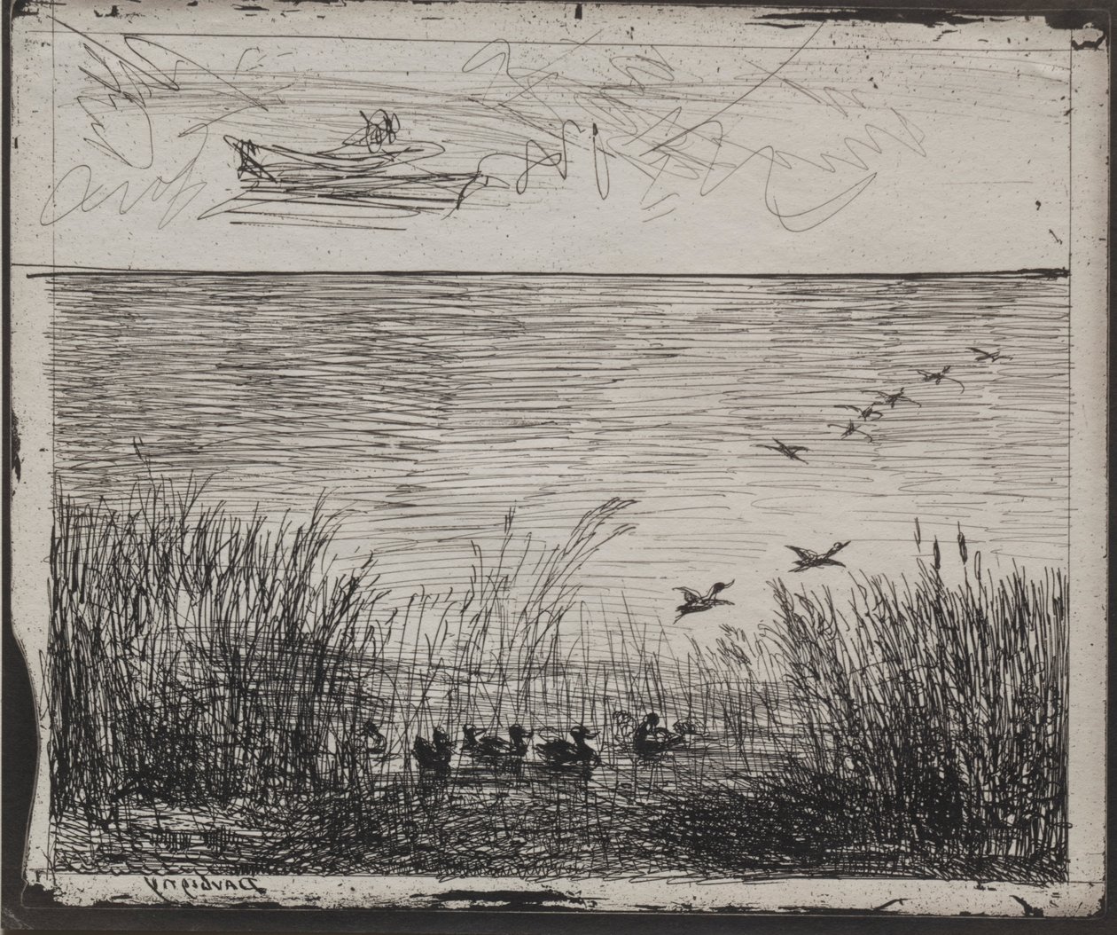 Bataklık Ördekler, orijinal izlenim 1862, 1921