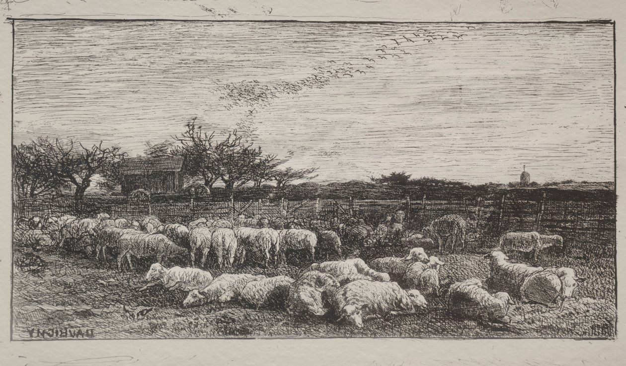 Büyük Koyun Ağı, orijinal izlenim 1862, 1921