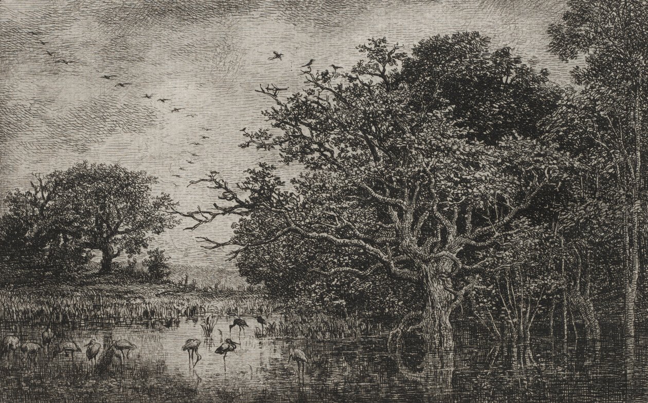 Leylekli Bataklık, c. 1851. by Charles Francois Daubigny