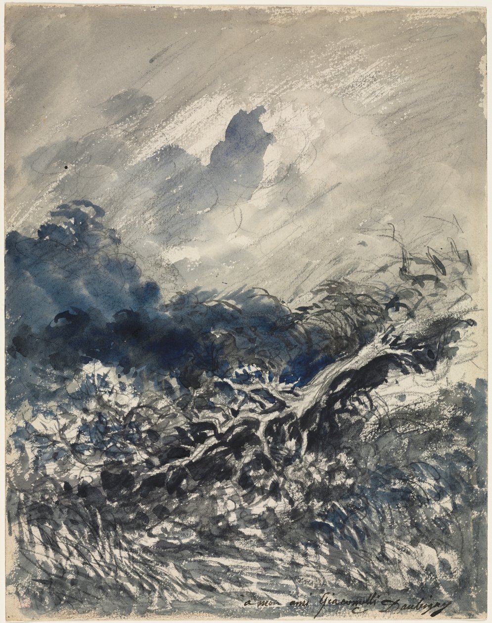 Meşe Ağacı ve Kamış, c. 1873. by Charles Francois Daubigny