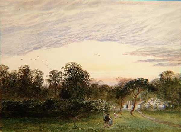 Bannisters Wood, Southampton