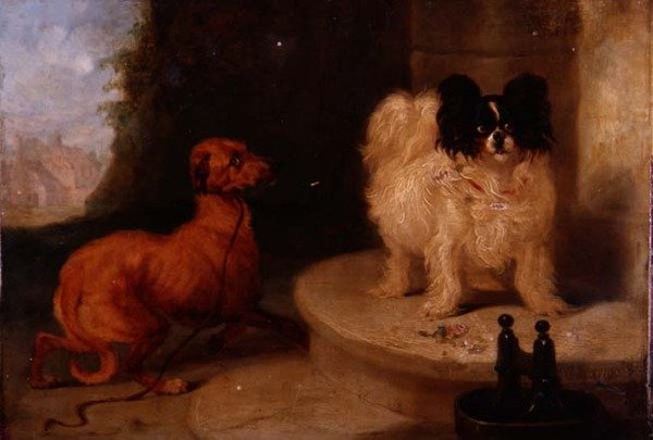 İstenmeyen Talip (panel) by Charles Hancock