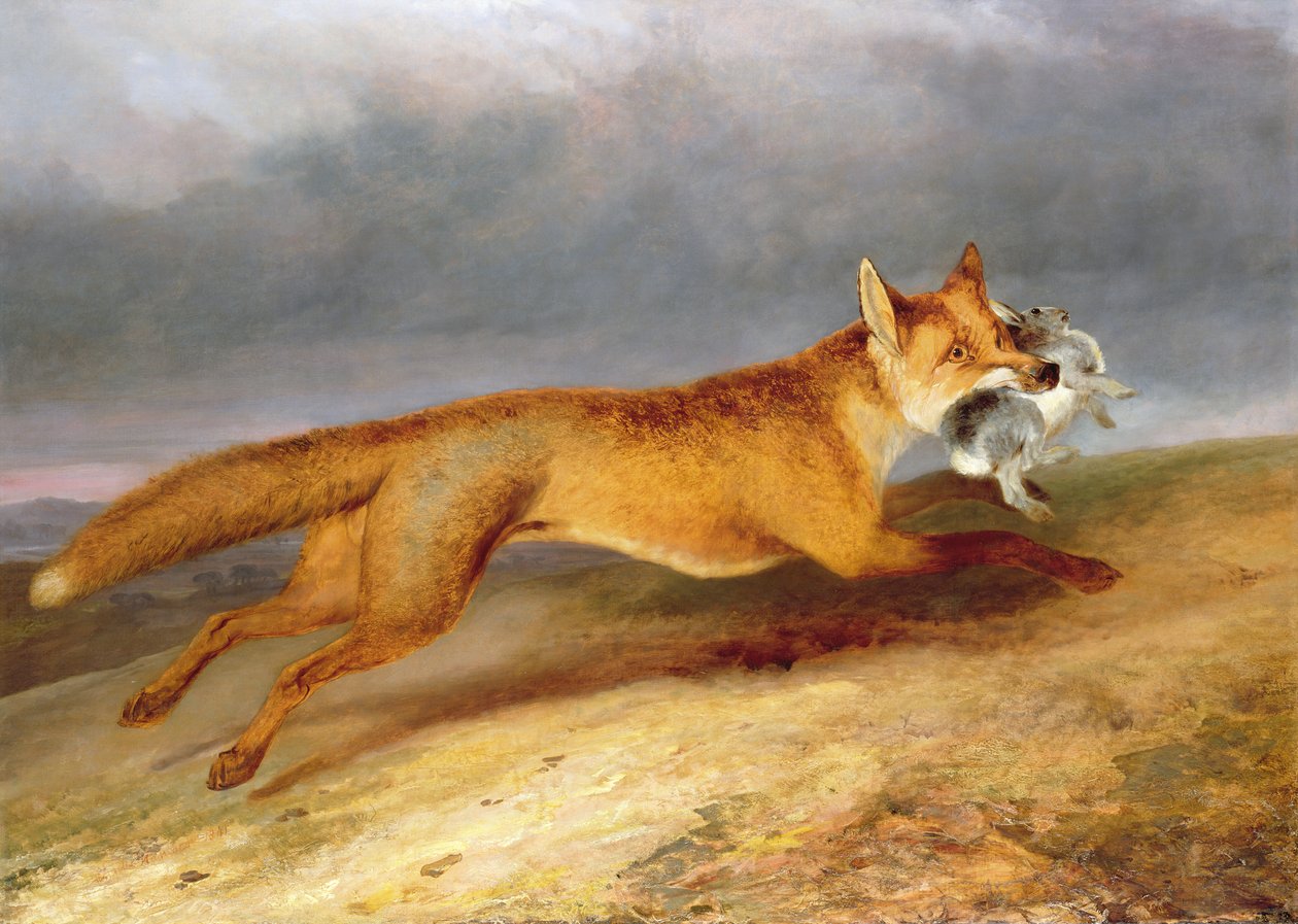 Tavşan ile tilki kaçıyor by Charles Hancock