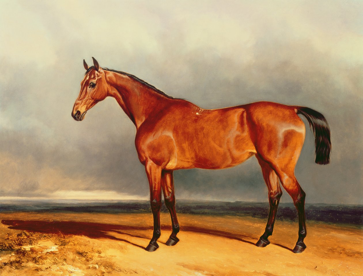 Körfez Avcısı by Charles Hancock