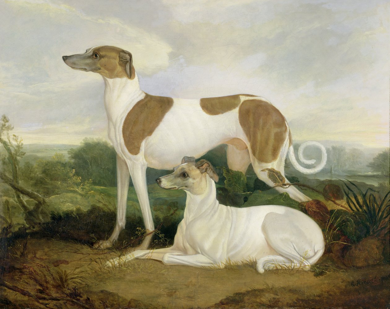 Bir Manzarada İki Tazı by Charles Hancock