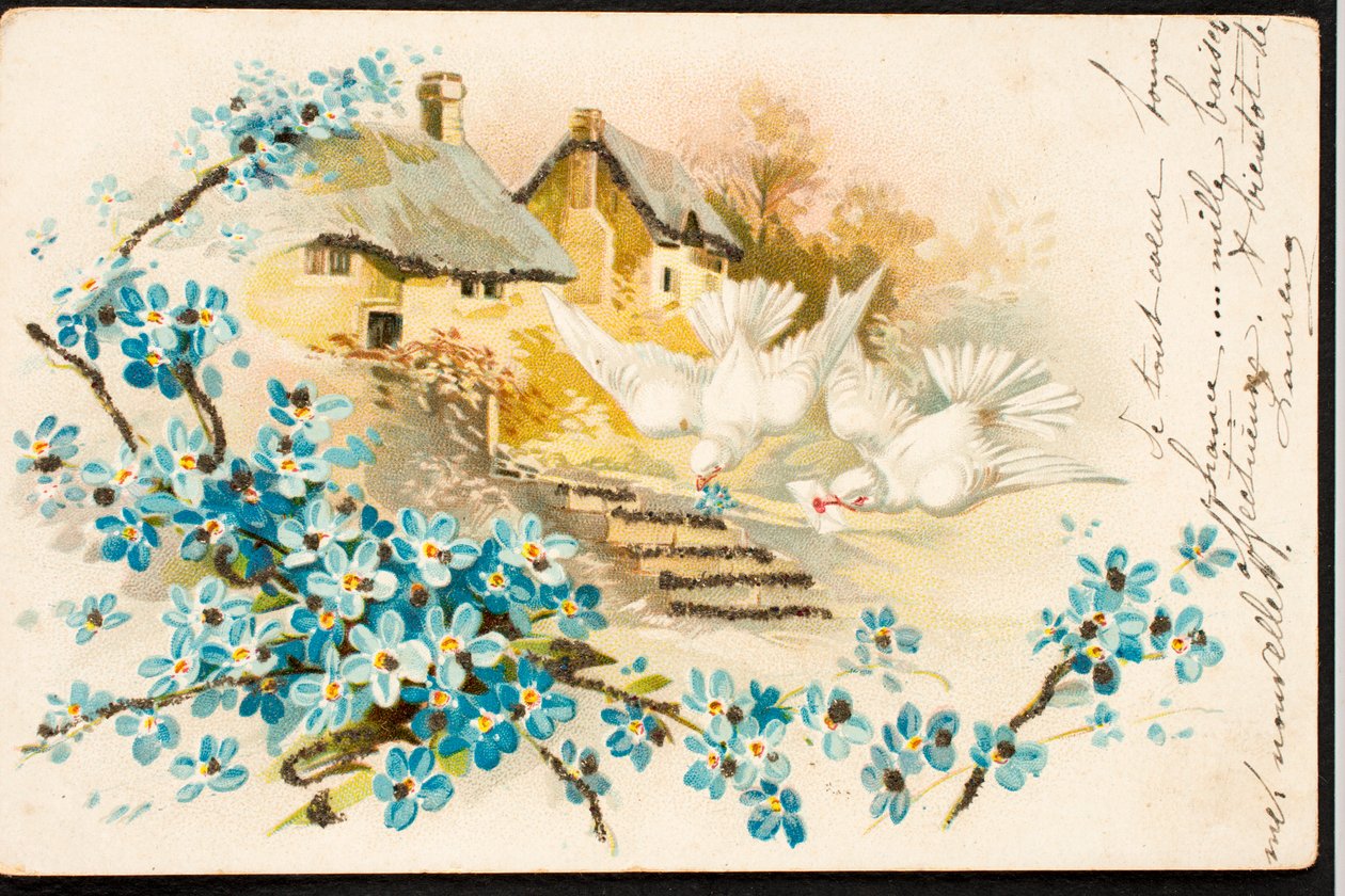 Eski kartpostal/Güvercin by Augustus Kollner
