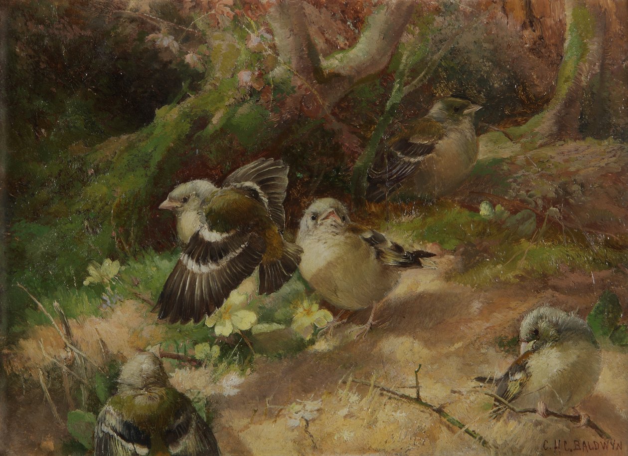 Mutlu Ormanda by Charles Henry Clifford Baldwyn